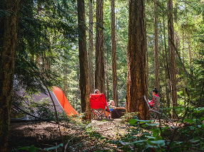 Camping in nature
